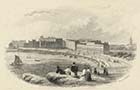 Lower Marine Terrace  [Rock ca 1868]